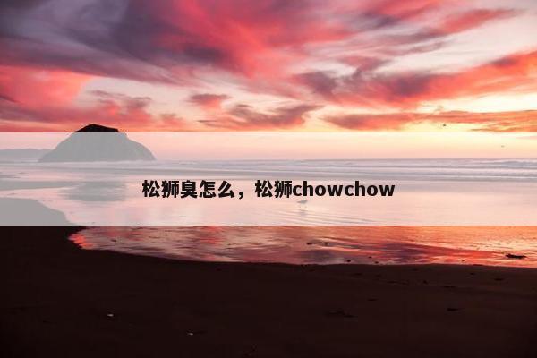 松狮臭怎么，松狮chowchow