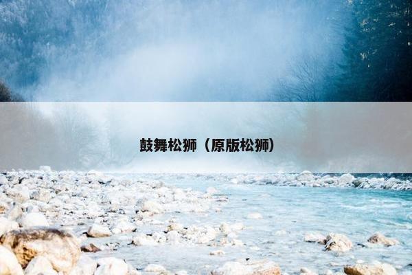 鼓舞松狮（原版松狮）