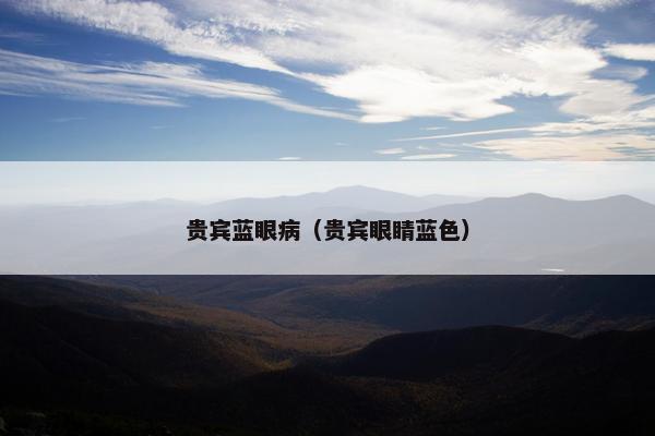 贵宾蓝眼病（贵宾眼睛蓝色）