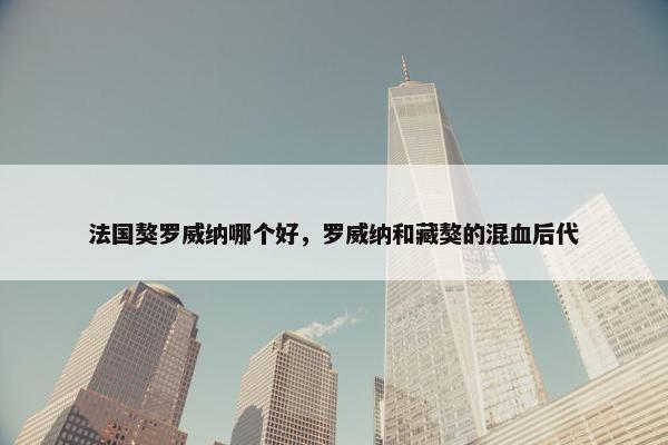 法国獒罗威纳哪个好，罗威纳和藏獒的混血后代