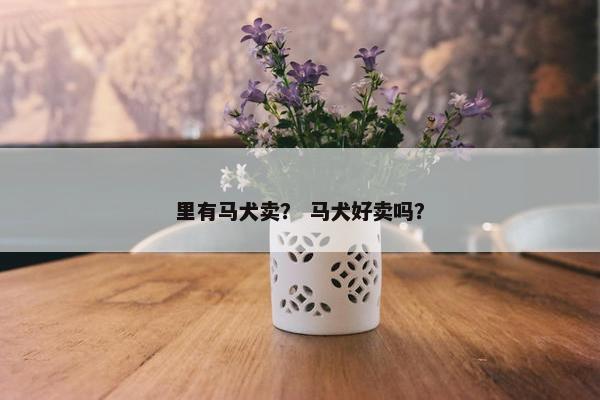 里有马犬卖？ 马犬好卖吗？