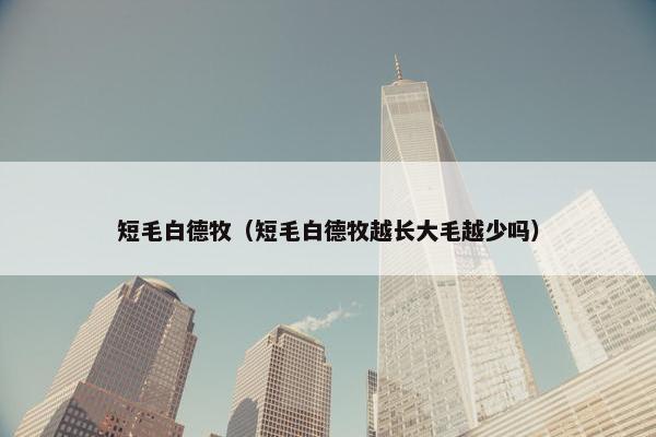 短毛白德牧（短毛白德牧越长大毛越少吗）