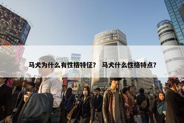 马犬为什么有性格特征？ 马犬什么性格特点？