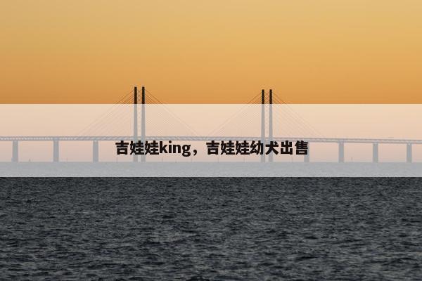 吉娃娃king，吉娃娃幼犬出售