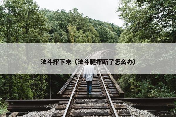 法斗摔下来（法斗腿摔断了怎么办）