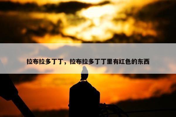 拉布拉多丁丁，拉布拉多丁丁里有红色的东西