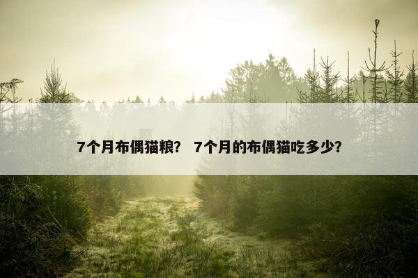7个月布偶猫粮？ 7个月的布偶猫吃多少？