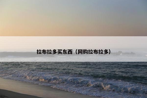 拉布拉多买东西（网购拉布拉多）