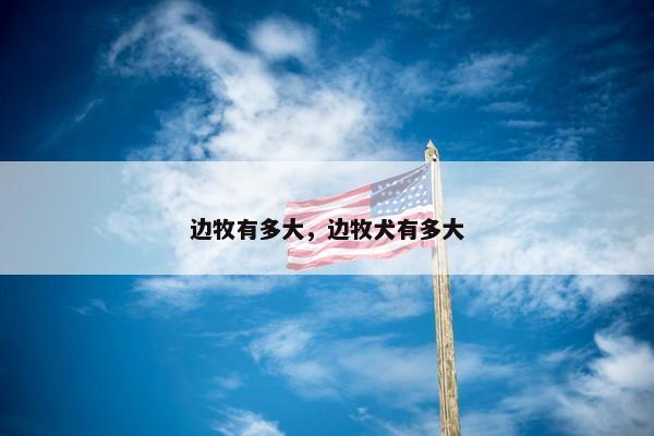 边牧有多大，边牧犬有多大