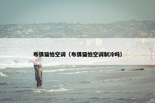 布偶猫怕空调（布偶猫怕空调制冷吗）