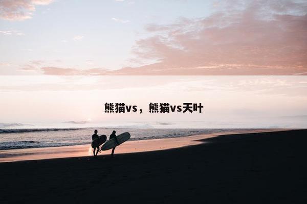 熊猫vs，熊猫vs天叶