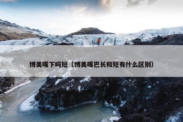 博美嘴下吗短（博美嘴巴长和短有什么区别）