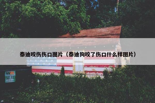 泰迪咬伤伤口图片（泰迪狗咬了伤口什么样图片）