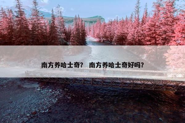 南方养哈士奇？ 南方养哈士奇好吗？