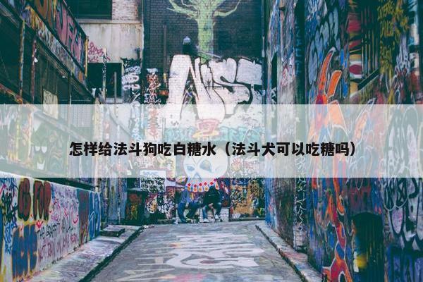 怎样给法斗狗吃白糖水（法斗犬可以吃糖吗）
