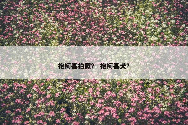 抱柯基拍照？ 抱柯基犬？