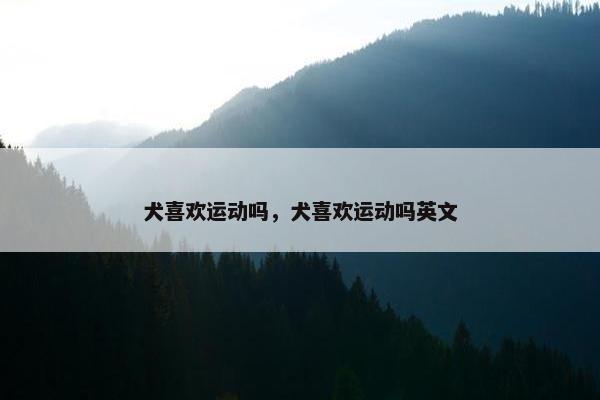 犬喜欢运动吗，犬喜欢运动吗英文