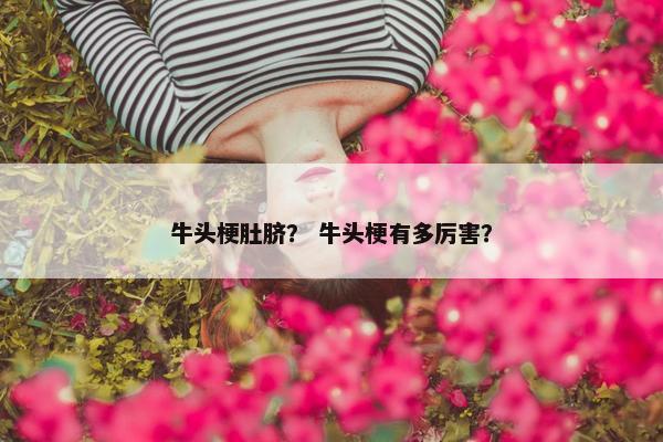 牛头梗肚脐？ 牛头梗有多厉害？