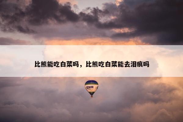 比熊能吃白菜吗，比熊吃白菜能去泪痕吗