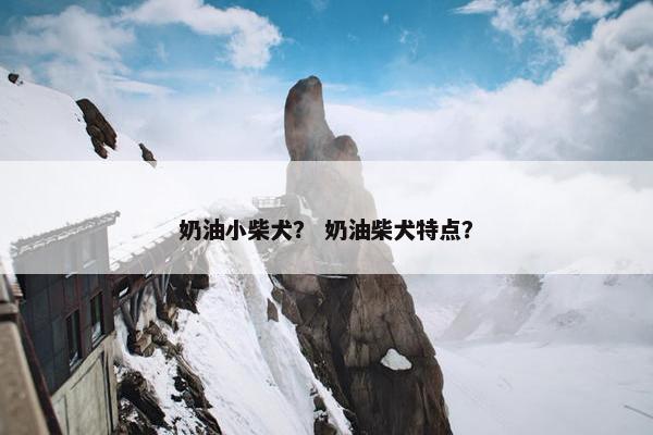 奶油小柴犬？ 奶油柴犬特点？