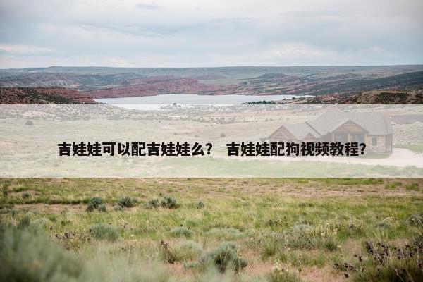 吉娃娃可以配吉娃娃么？ 吉娃娃配狗视频教程？