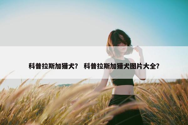 科普拉斯加猎犬？ 科普拉斯加猎犬图片大全？