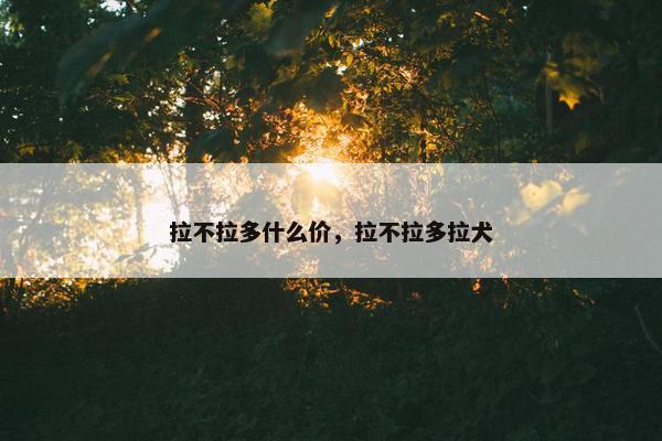 拉不拉多什么价，拉不拉多拉犬