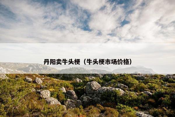 丹阳卖牛头梗（牛头梗市场价格）