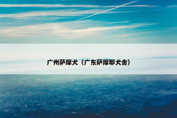 广州萨摩犬（广东萨摩耶犬舍）