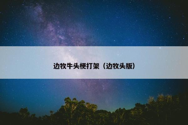 边牧牛头梗打架（边牧头版）