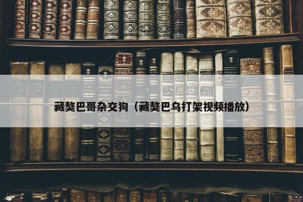 藏獒巴哥杂交狗（藏獒巴乌打架视频播放）