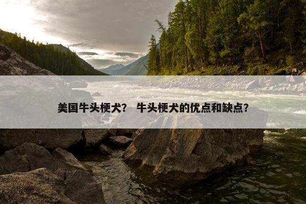 美国牛头梗犬？ 牛头梗犬的优点和缺点？