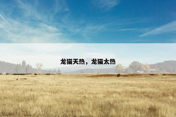 龙猫天热，龙猫太热