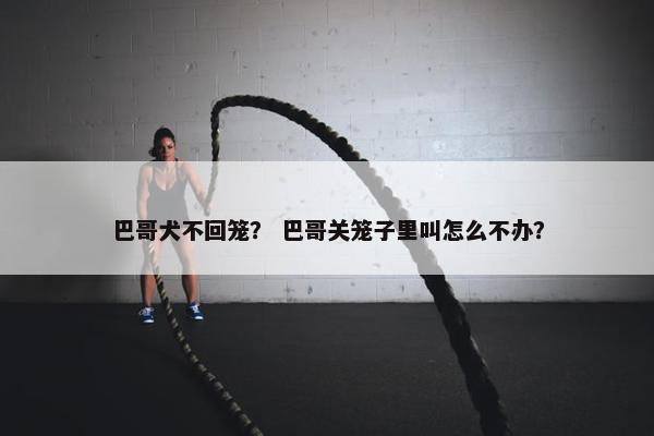巴哥犬不回笼？ 巴哥关笼子里叫怎么不办？