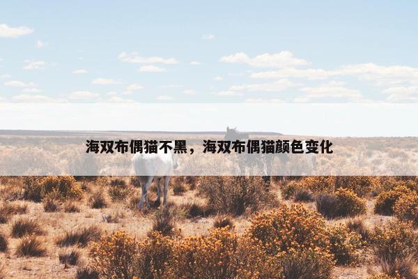 海双布偶猫不黑，海双布偶猫颜色变化