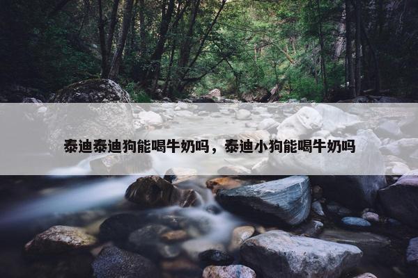 泰迪泰迪狗能喝牛奶吗，泰迪小狗能喝牛奶吗