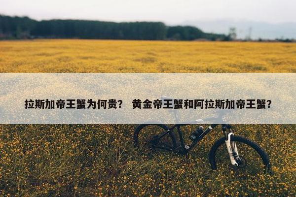 拉斯加帝王蟹为何贵？ 黄金帝王蟹和阿拉斯加帝王蟹？