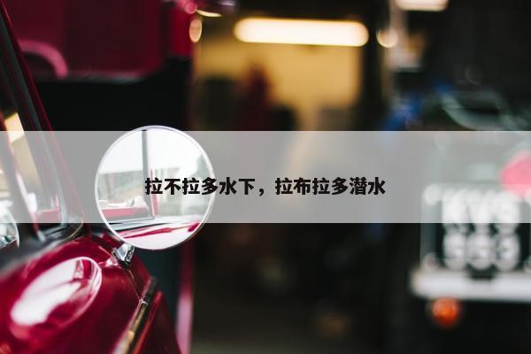 拉不拉多水下，拉布拉多潜水