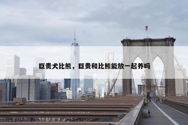 巨贵犬比熊，巨贵和比熊能放一起养吗