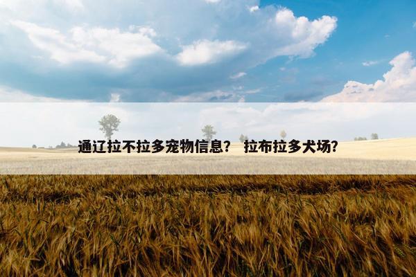 通辽拉不拉多宠物信息？ 拉布拉多犬场？
