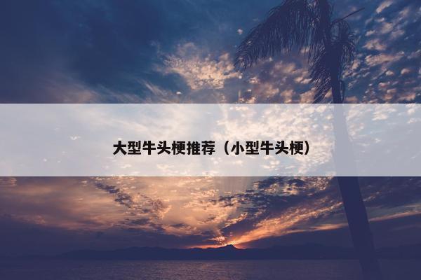 大型牛头梗推荐（小型牛头梗）