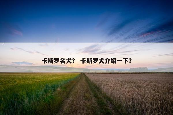 卡斯罗名犬？ 卡斯罗犬介绍一下？
