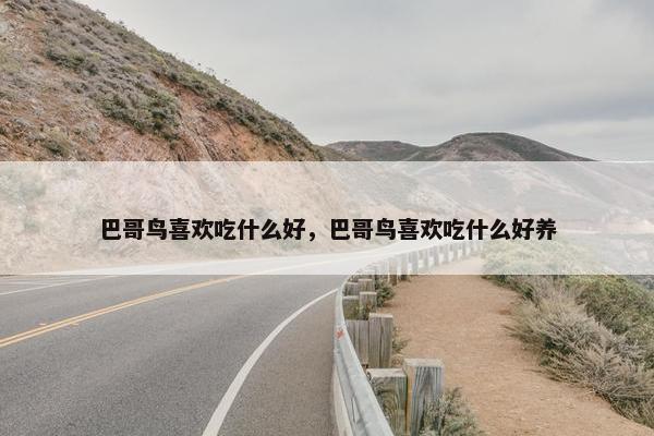 巴哥鸟喜欢吃什么好，巴哥鸟喜欢吃什么好养