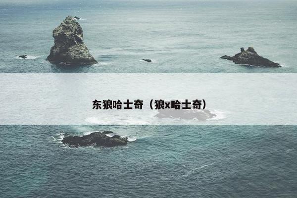 东狼哈士奇（狼x哈士奇）