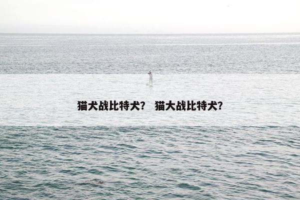 猫犬战比特犬？ 猫大战比特犬？