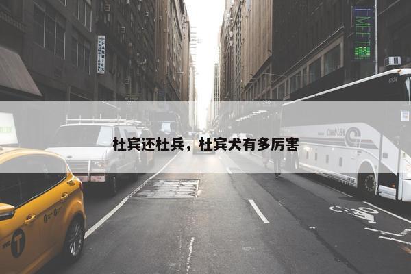 杜宾还杜兵，杜宾犬有多厉害