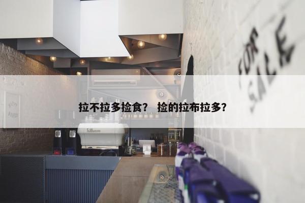 拉不拉多捡食？ 捡的拉布拉多？