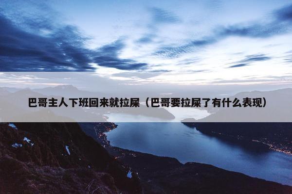 巴哥主人下班回来就拉屎（巴哥要拉屎了有什么表现）