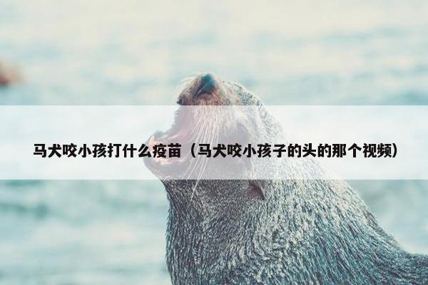 马犬咬小孩打什么疫苗（马犬咬小孩子的头的那个视频）