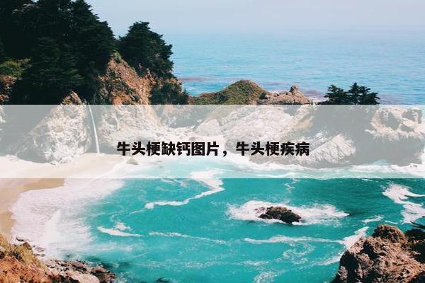 牛头梗缺钙图片，牛头梗疾病
